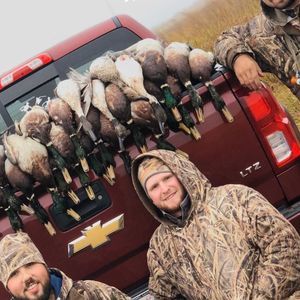 Meet your Posher, Owen